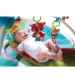 Centru de joaca Meadow Days, Dynamic Gymini, Tiny Love
