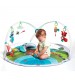 Centru de joaca Meadow Days, Dynamic Gymini, Tiny Love