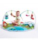 Centru de joaca Meadow Days, Dynamic Gymini, Tiny Love
