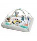 Centru de joaca din plus, Tiny Love Gymini, Polar Wonders