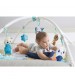Centru de joaca din plus, Tiny Love Gymini, Polar Wonders