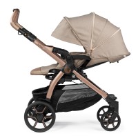 Carucior 2 in 1 Peg Perego, Book, Mon Amour