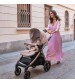 Carucior 2 in 1 Peg Perego, Book, Mon Amour
