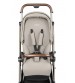 Carucior Peg Perego Vivace, 0 - 22 kg, Astral