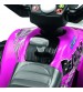Corral Bearcat, Peg Perego, Roz