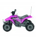 Corral Bearcat, Peg Perego, Roz